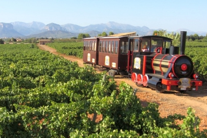 Mallorca train and wine tours