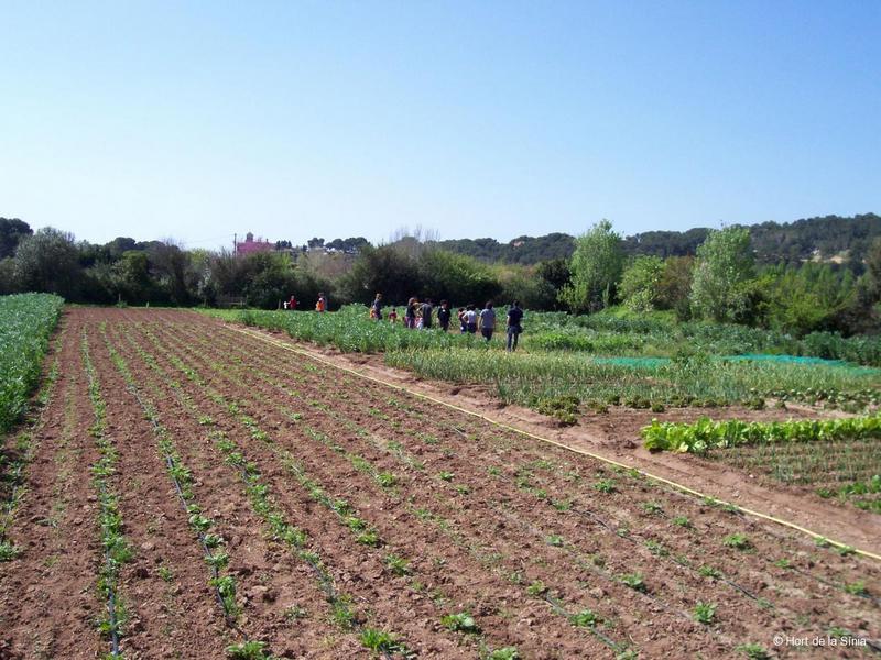 Tarragona Spain Travel Guide Tarragona Spain Colour Learn 4 Kids - 8 land turtles ecological farming and meeting the farm animals