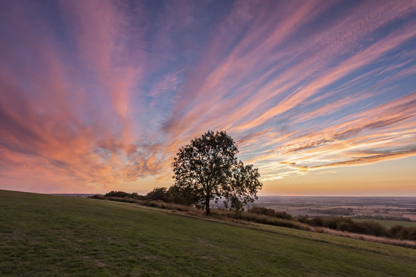 The 5 most Instagrammable places in the Chilterns - Travel Inspires