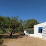 Valencia country house for sale finca Oliva-1