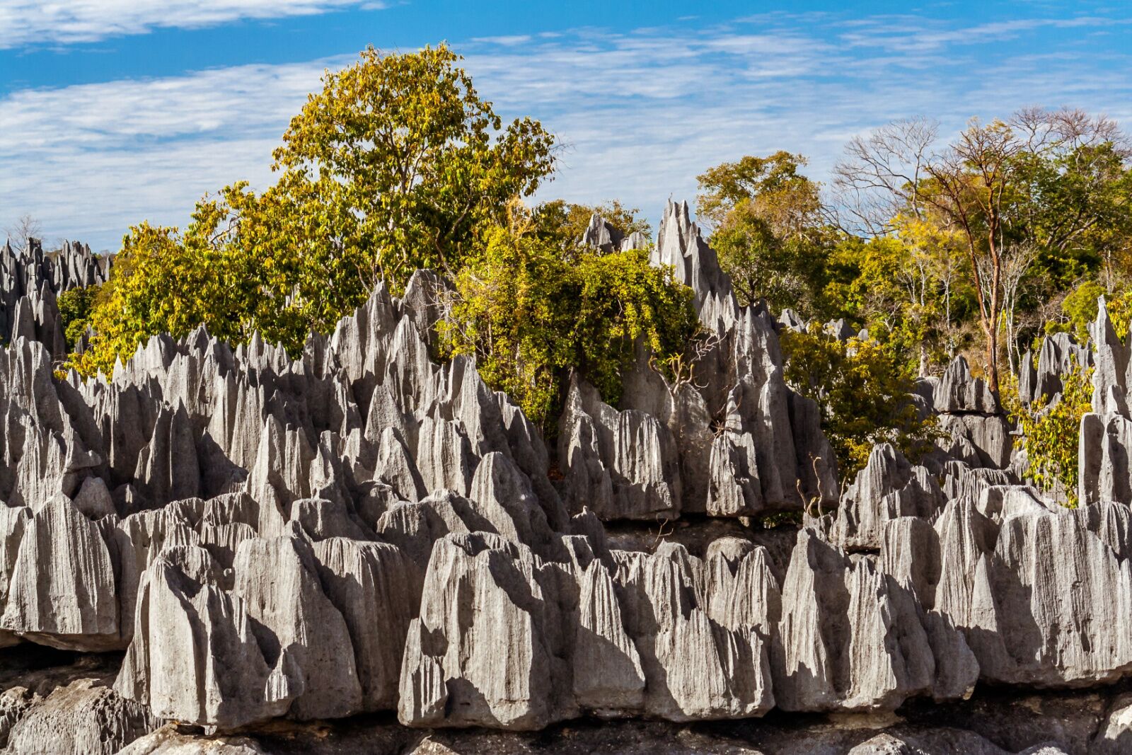 tsingy formations